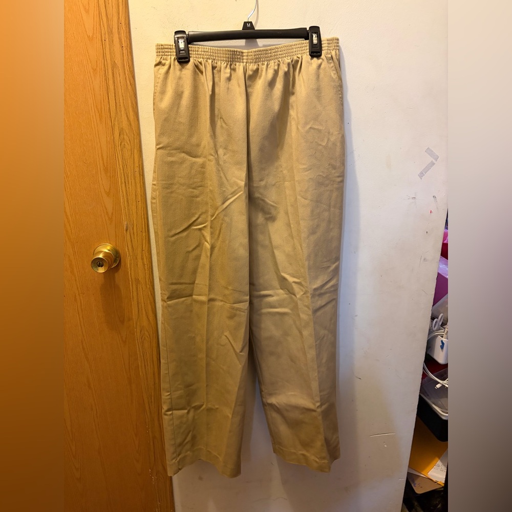 (16) Alfred dunner dress pants